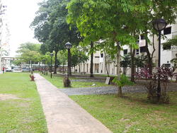 Blk 6 Ghim Moh Road (Queenstown), HDB 3 Rooms #118669982